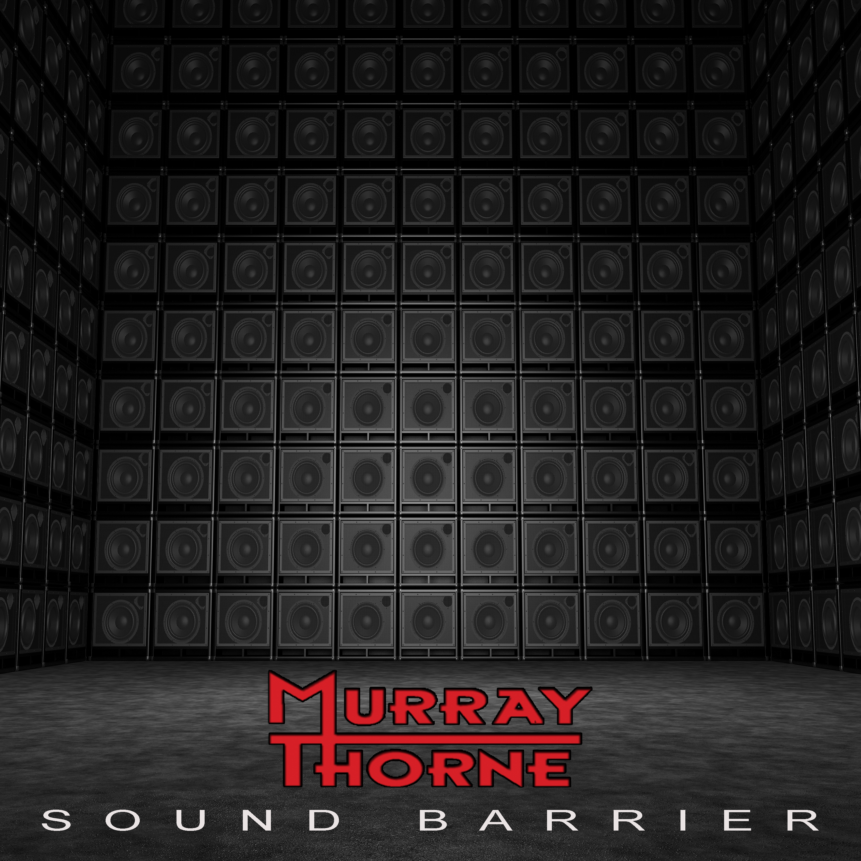 MURRAY THORNE-SOUND BARRIER COVER